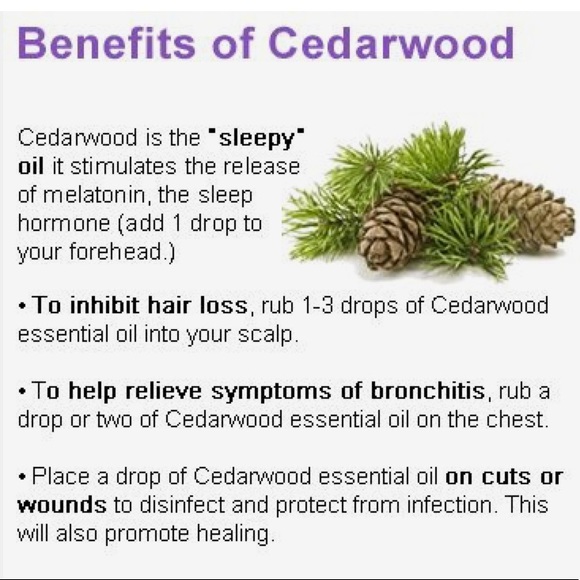 DōTERRA Cedarwood Essential Oil! 🍂 - Picture 2 of 7